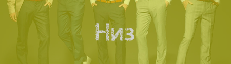 Низ